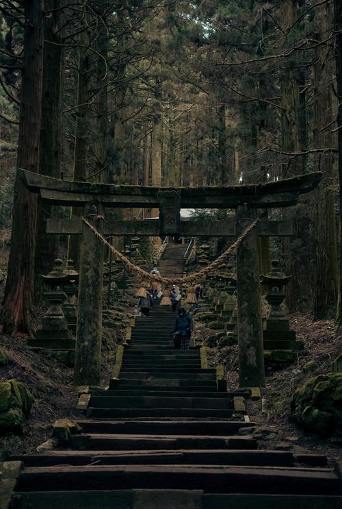 探秘神社的大穴：最新动态与深度解析