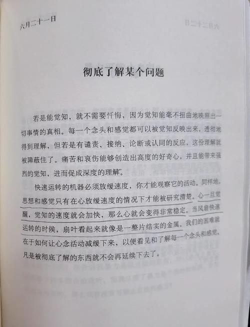 深入探索：如何找到《罪恶的祈祷》的下载途径