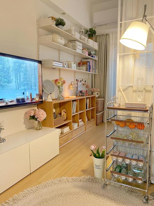 蜗居最新：打造舒适小空间的实用教程