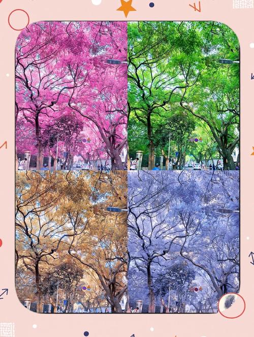 四季官网使用教程：新手入门指南