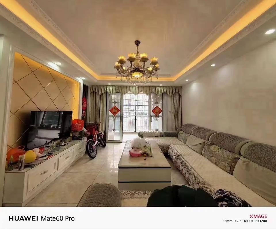 樱花公馆1更新地址的深度分析与未来展望