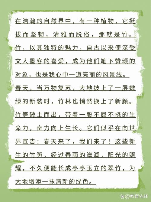 深入解析《竹内的旅程》：安卓下载与游戏体验的全方位分析