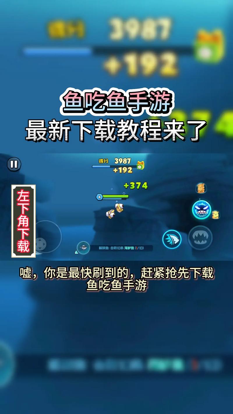 详细教程：如何下载鱼子酱