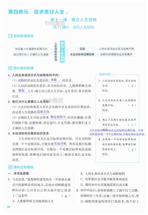 深入解析《下忍考试》中游戏机制与玩家体验