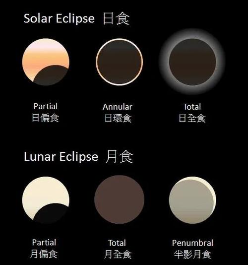 月食最新版本实用教程：新手必看操作指南