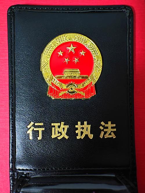 黑手党执照更新日志的深度解析与未来展望