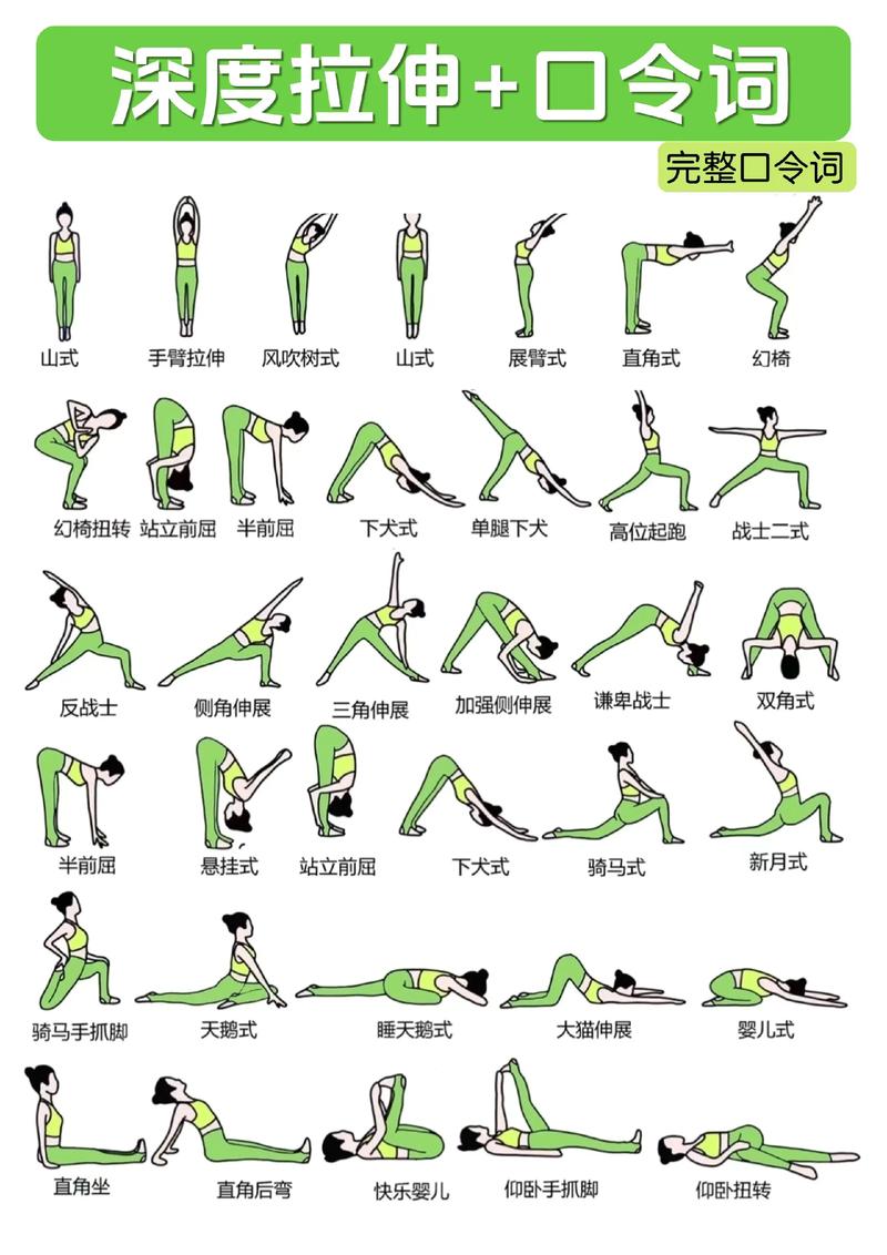 健身房瑜伽入门教程：最新实用技巧与步骤