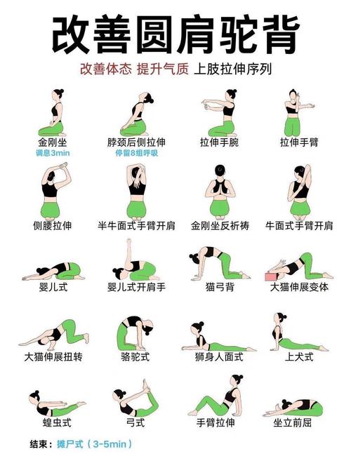 健身房的瑜伽如何下载：详细的操作指南