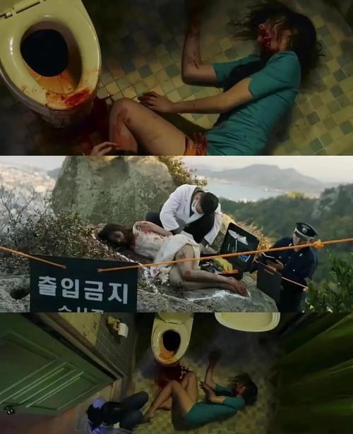 全面解析诺莉卡的案件版本大全:实用教程与技巧