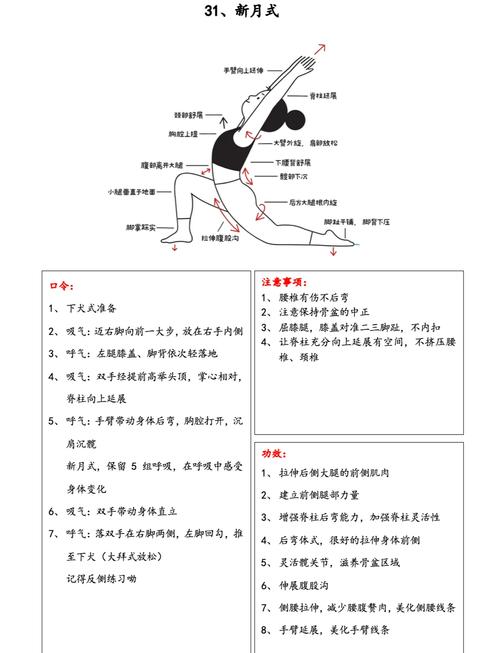 健身房的瑜伽更新日志：实用教程与技巧指南