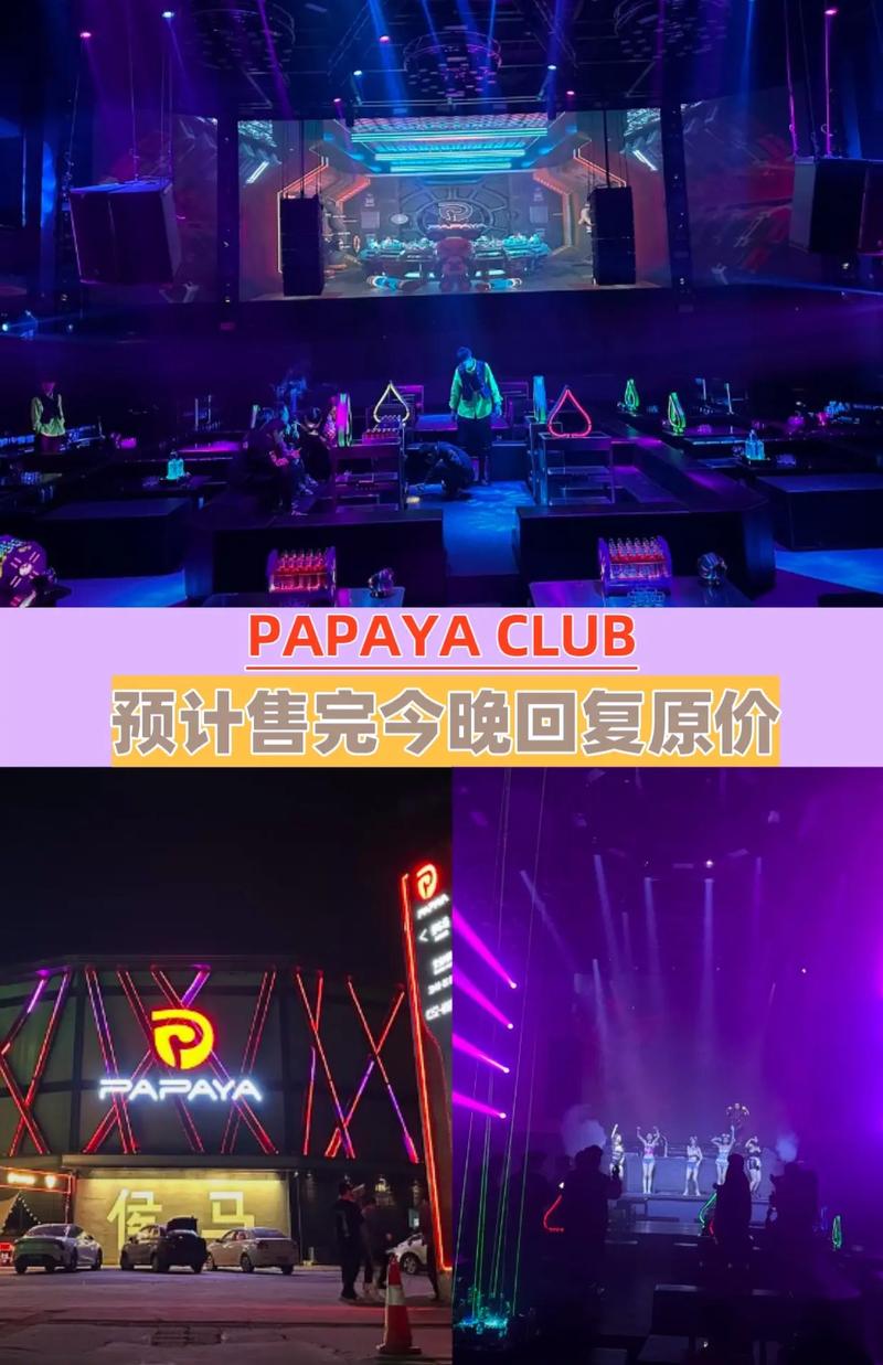 PAPA酒馆最新版本实用教程：从入门到精通