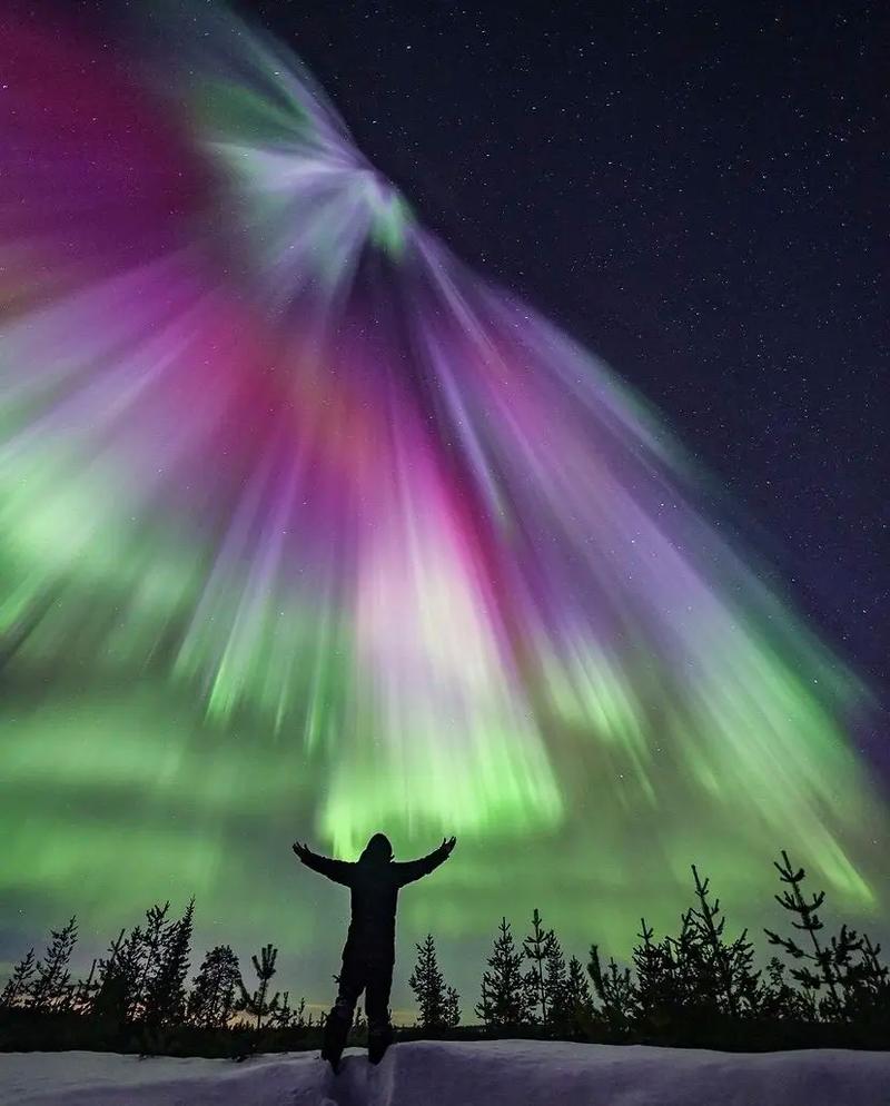 北极光开始官网使用指南