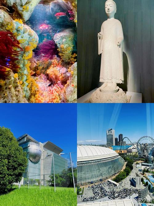 台北仲夏夜之梦更新地址使用教程