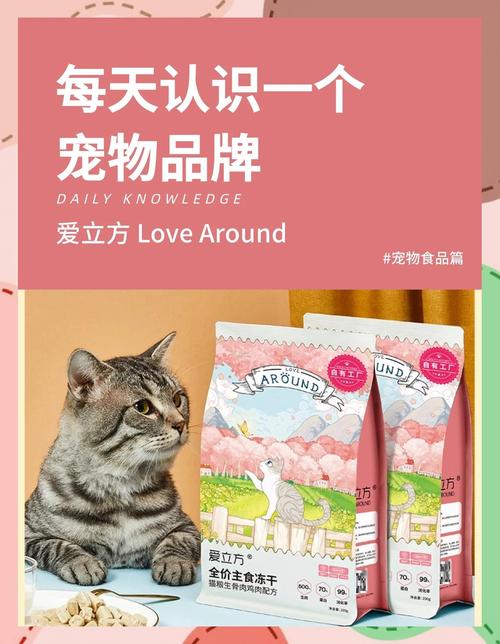 LOVE爱立方最新版本使用教程：新手必看实用指南