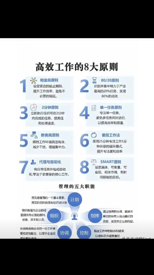 全方位解析:如何高效使用计划激情S2官网