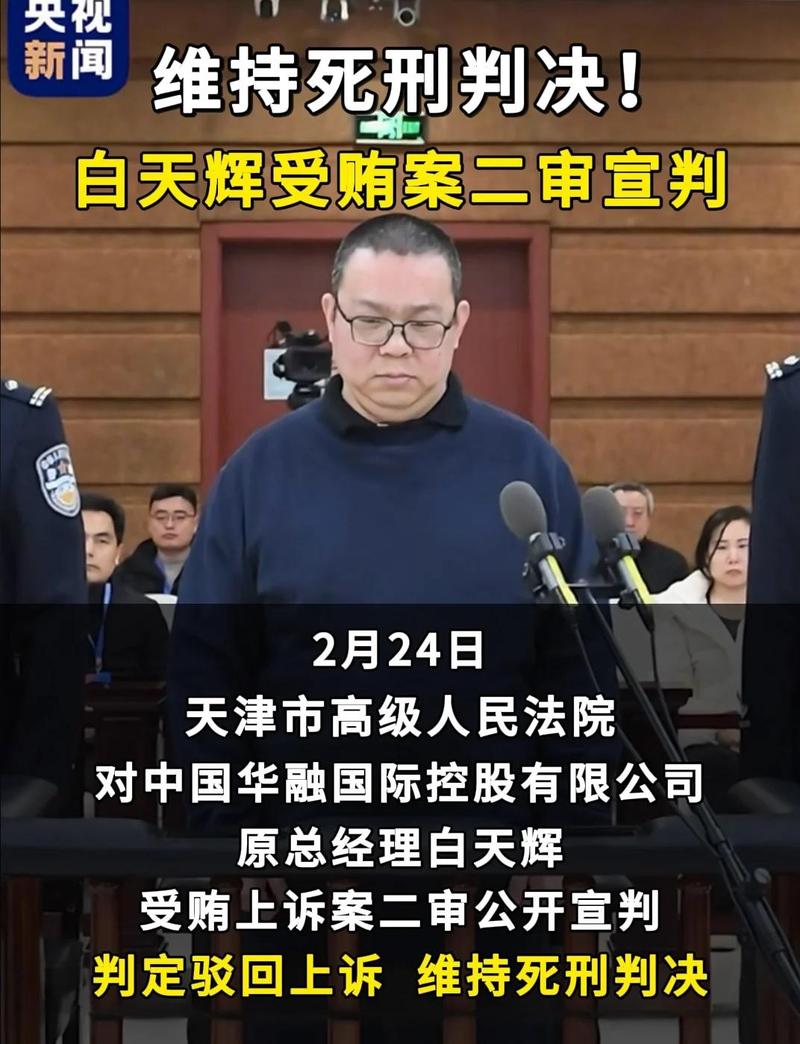 在腐败之网中官网的实用操作教程