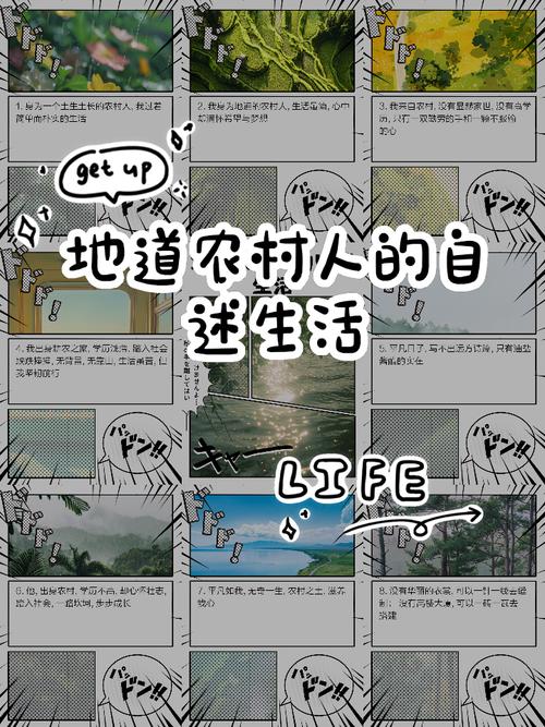 全面指南：我的乡村生活版本大全操作教程