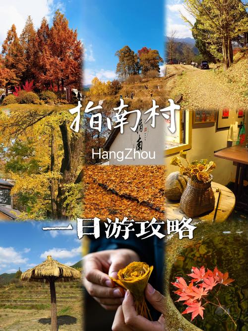 全面指南：我的乡村生活版本大全操作教程