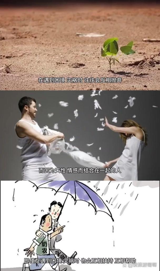 友情与利益2：新手教程与实用技巧