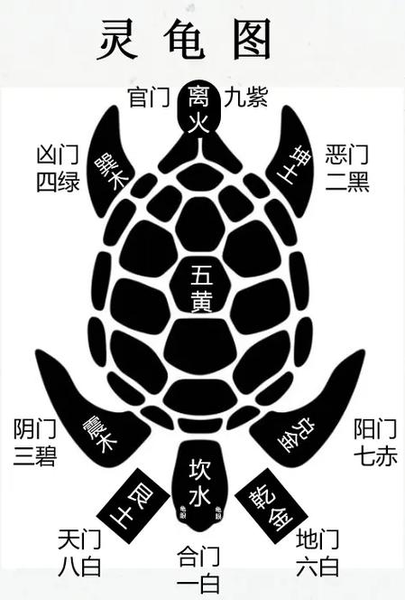 五日寸止 内置89官方正式版下载最新版详细教程