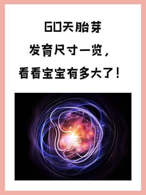 了解我们的60天最新版本：实用教程与操作指南
