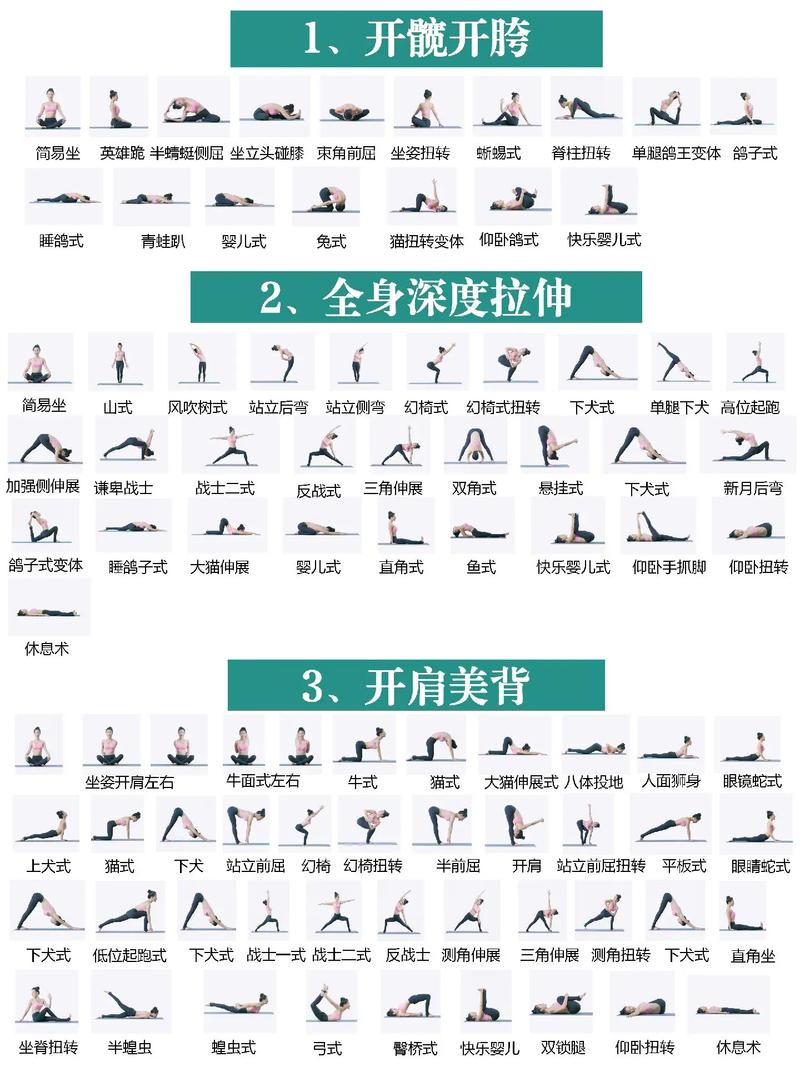 健身房瑜伽最新版本教程：新手必备指南