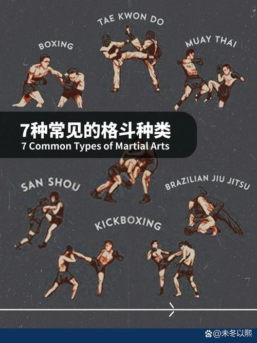 全面指南：如何在格斗少女由利游戏官网上畅玩游戏