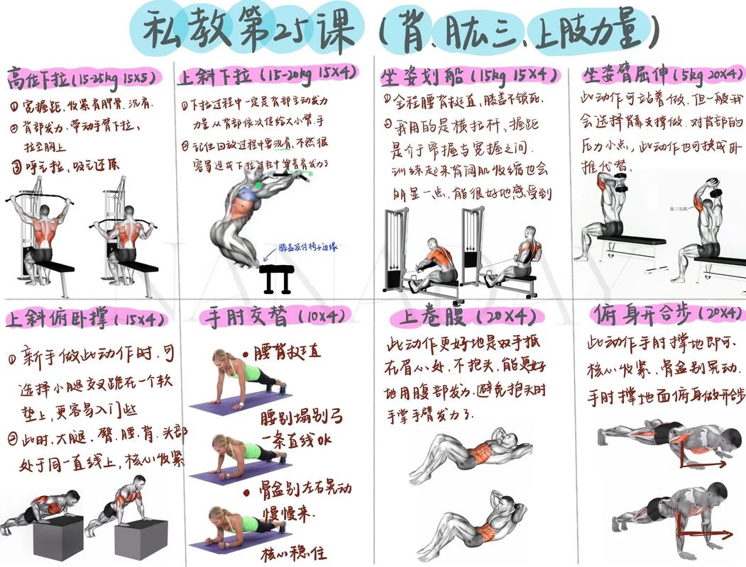 健身教练补课游戏攻略：新手必备实用教程