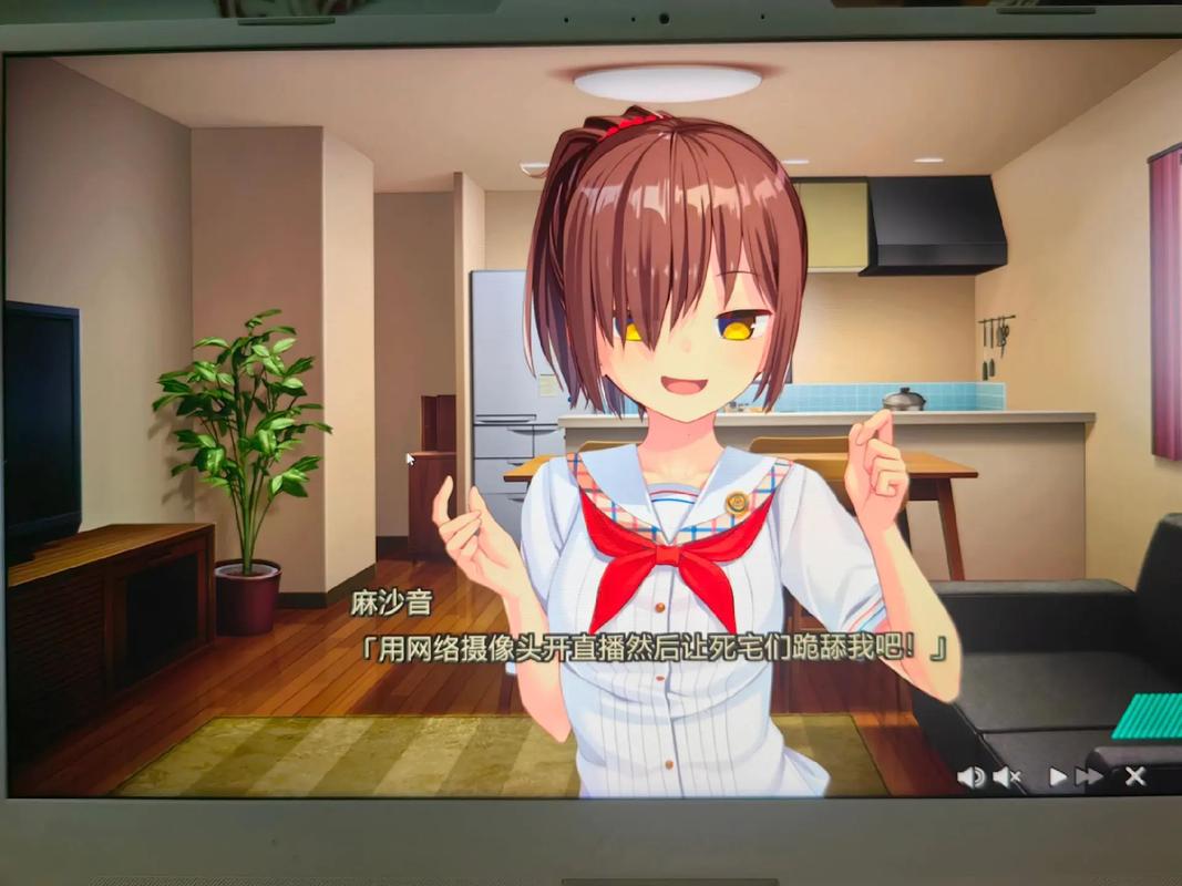 在腐败之网中绅士游戏的实用教程