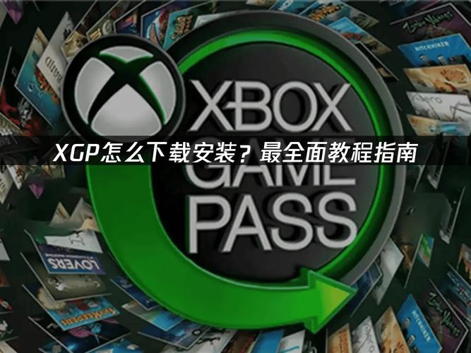 全面指南：如何获取和使用Rinapo版本大全