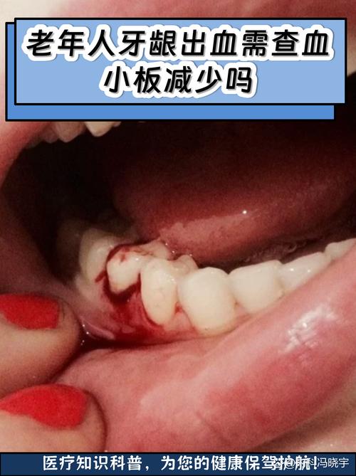 全面了解真实的版本大全：新手指南与实用技巧