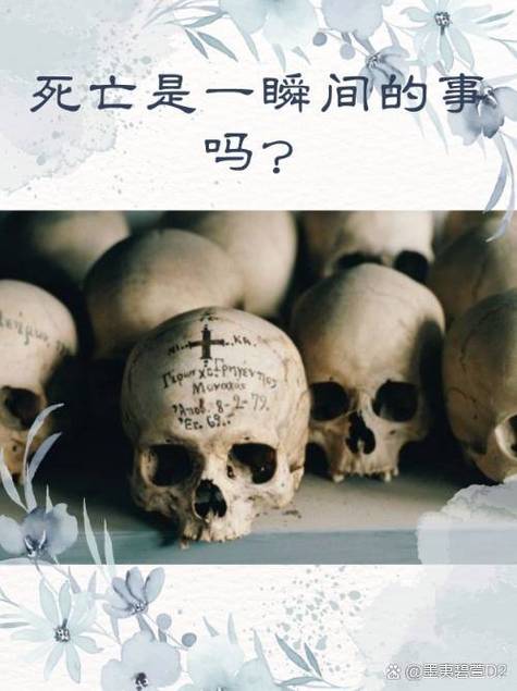 几乎死亡最新版本实用教程：新手玩家必备的操作指南
