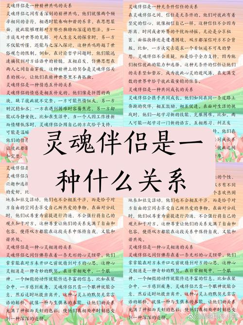 全面解析灵魂伴侣版本大全的实用教程