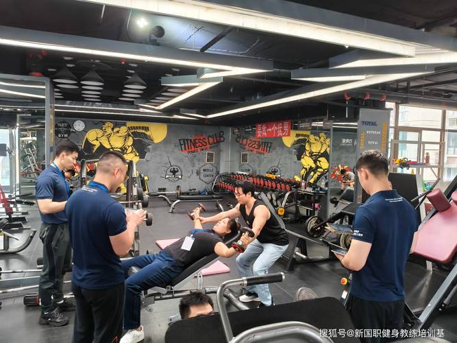 健身教练补课的更新地址与学习策略分析