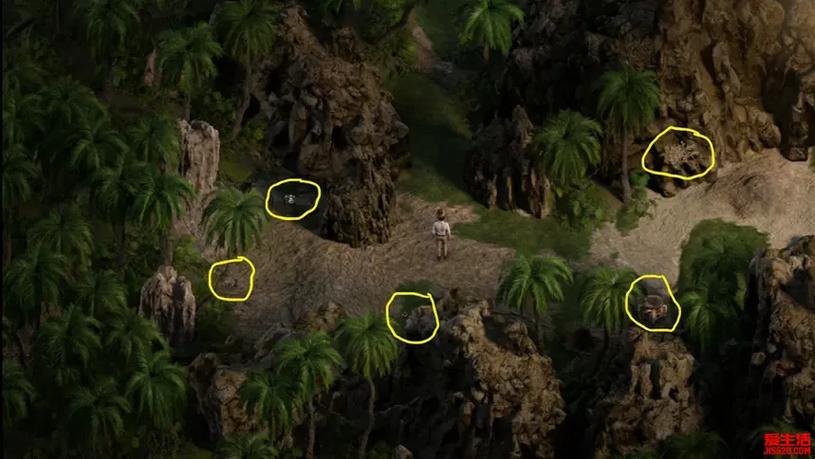 NLT合集下载全攻略：从入门到精通