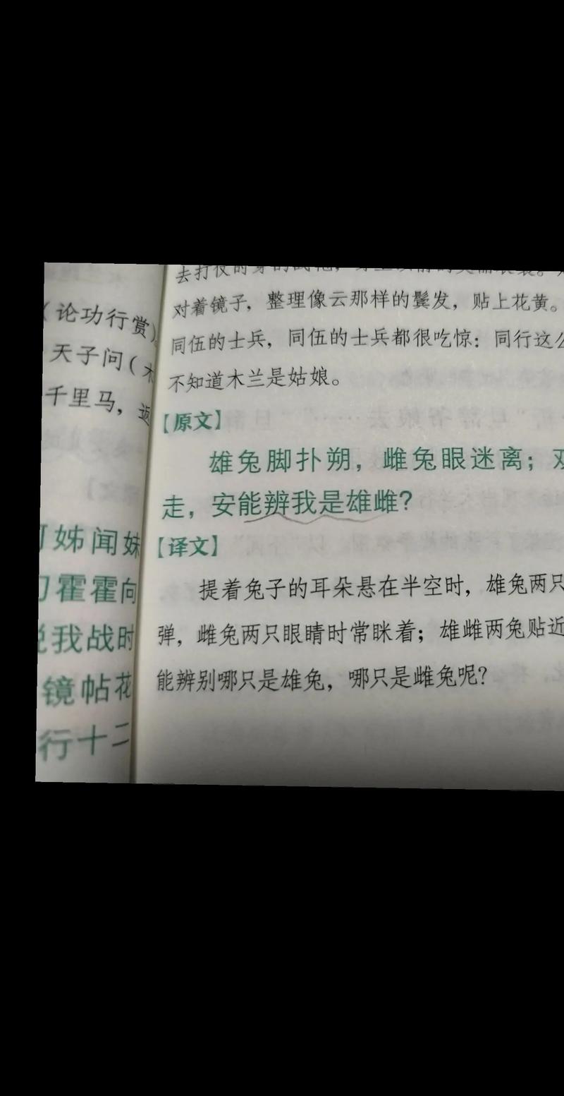 全面剖析《御曹司》安卓下载的市场潜力与玩家体验
