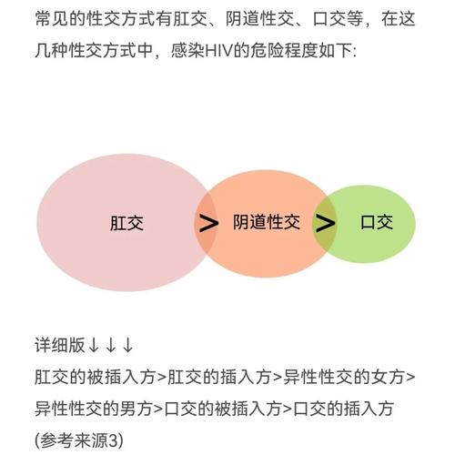 剖析LOVE爱立方安卓汉化背后的魅力与挑战