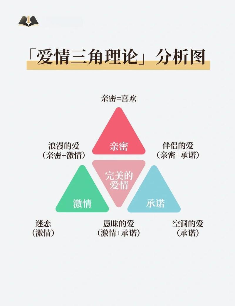 剖析LOVE爱立方安卓汉化背后的魅力与挑战