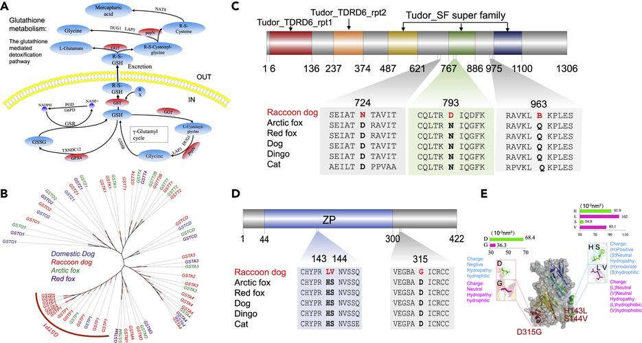 变异区官方网站分析：新兴绅士游戏领域的潜力与挑战
