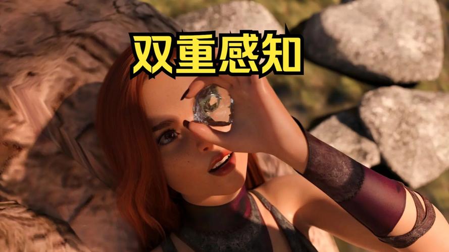 双重感知更新日志：全面教程与实用技巧