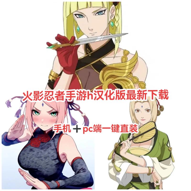 火影淫者绅士游戏入门教程：从安装到玩法技巧