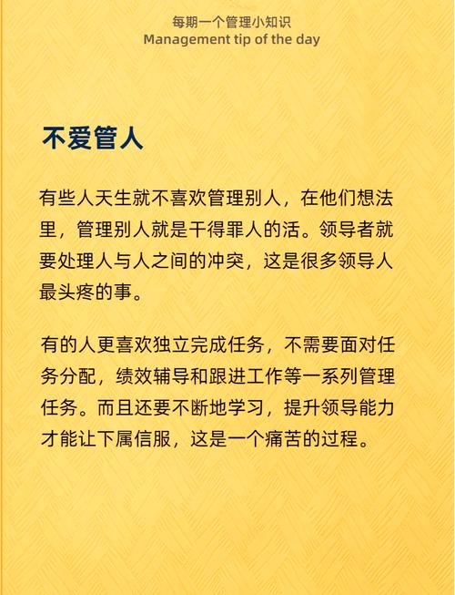 解析《我不是领导者安卓》：策略与决策的深度游戏体验