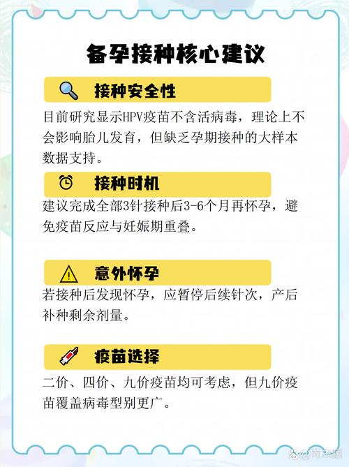 深入探讨：如何安全高效地下载《十二位女神》