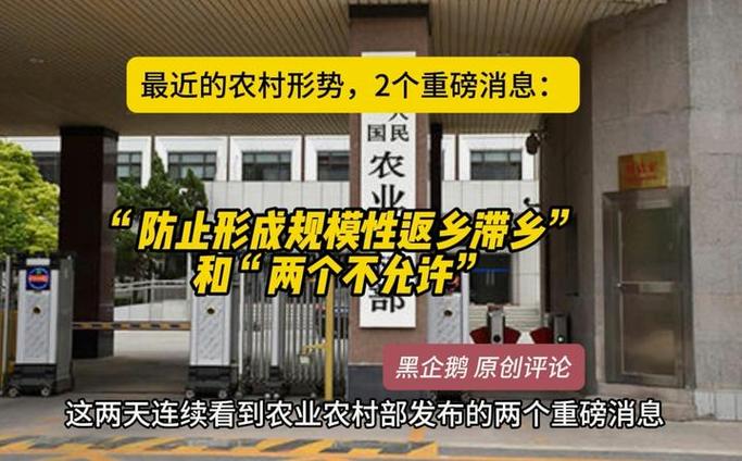 深入分析《返回农村2》安卓汉化版的魅力与挑战