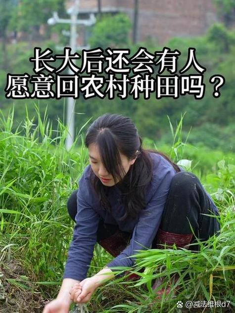 深入分析《返回农村2》安卓汉化版的魅力与挑战