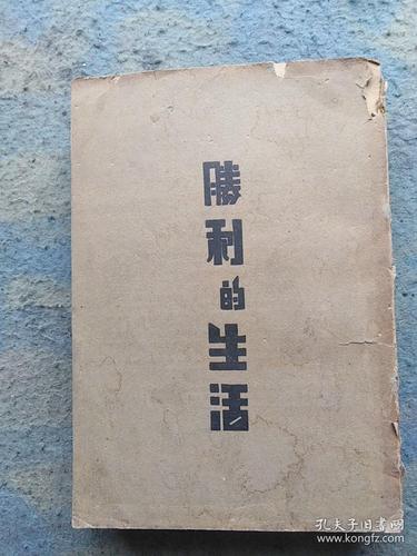 胜利后的生活版本大全：从游戏到现实的深度剖析