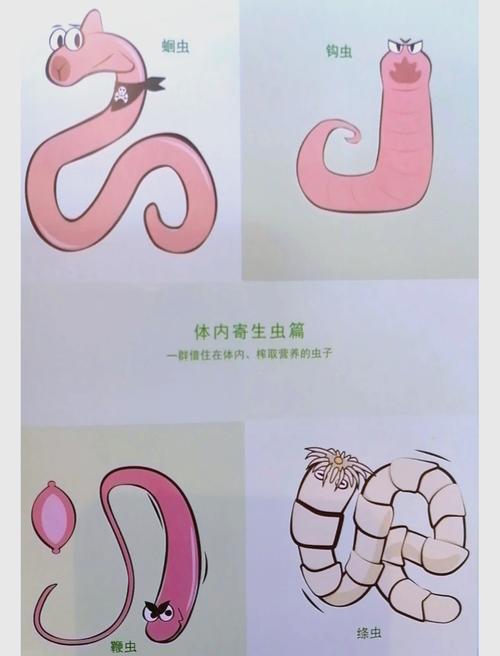 深度解析内部寄生虫游戏官网：创新与挑战交织的绅士游戏新领域