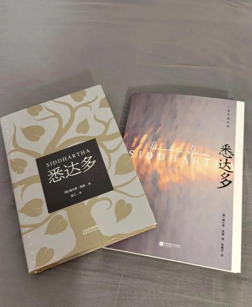 心灵旅达最新：新手实用教程与技巧分享