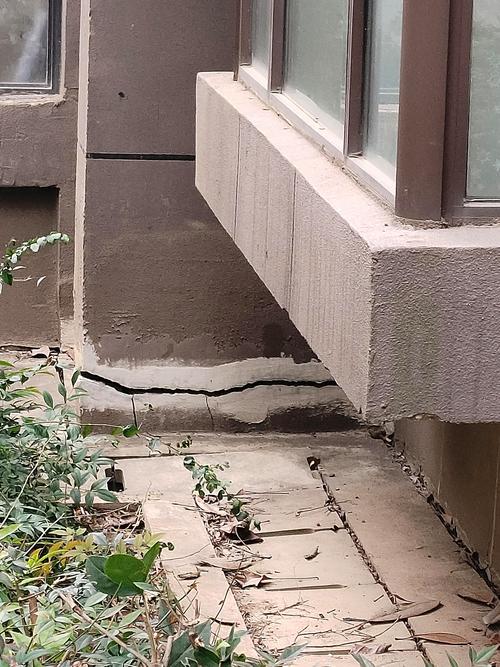 裂缝中的房子：最新版本深度剖析与趋势分析