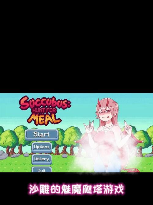 熟女之谜绅士游戏实用教程：从入门到精通